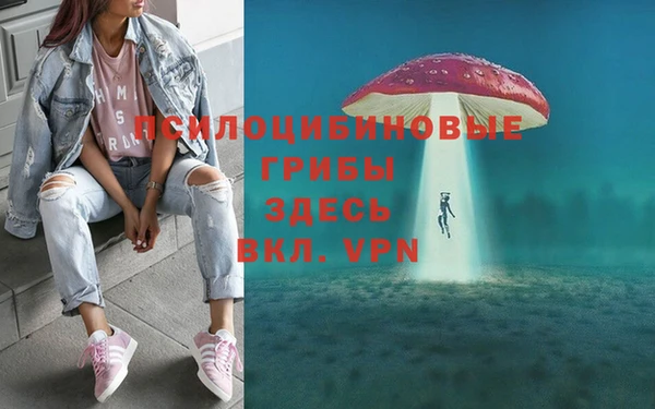 mdpv Бугульма