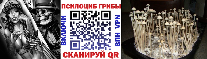 blacksprut tor  Симферополь  Псилоцибиновые грибы мухоморы 